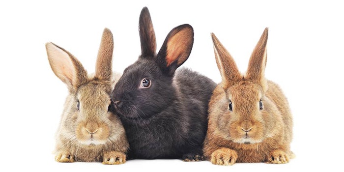850x425_animaltestingtrio