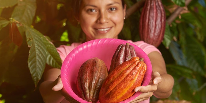 WomanHarvestCacao850x425