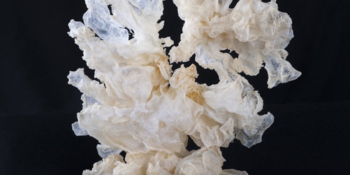 snowmushroombenefits_np3