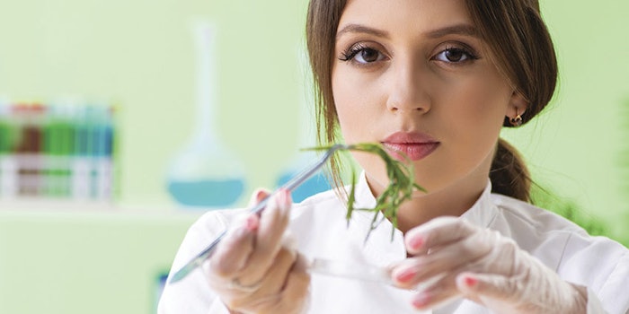 WomanNaturalPlantChemistPetriDish850x425