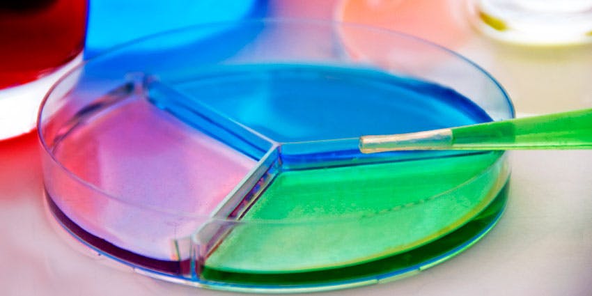 Phenoxyethanol as a Safe and Important Preservative in Personal Care 