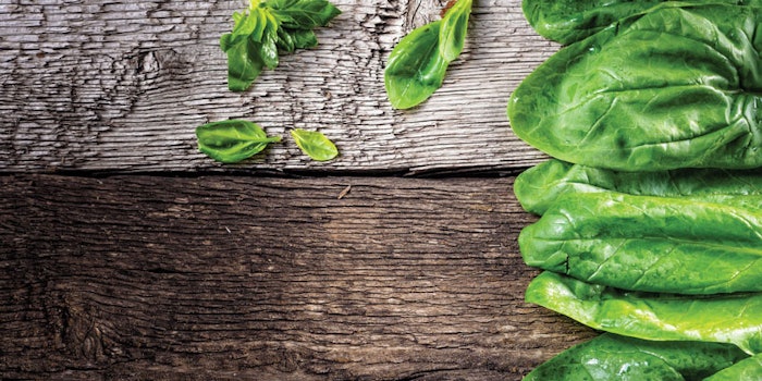 SpinachonBoards850x425