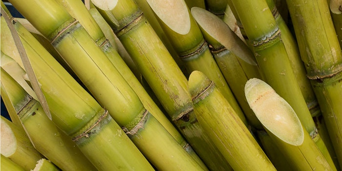 Sugarcane850x425