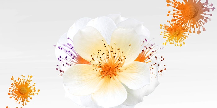 vita_rosalience_425