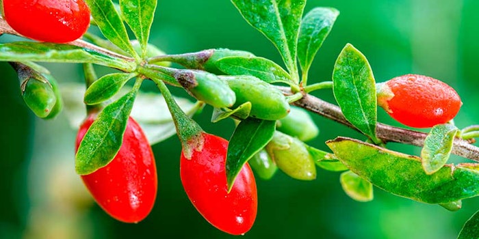 gojiberries_425