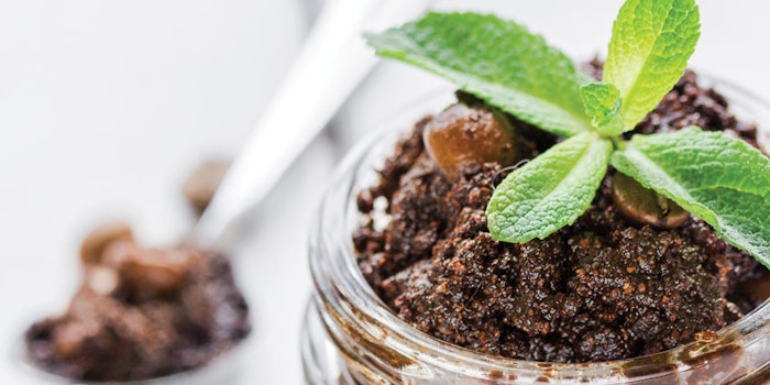 CoffeePlantSpoonJar850x425
