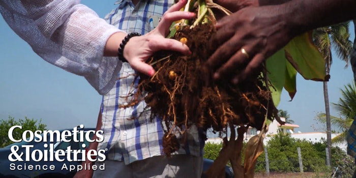 Sabinsa_Extraction850x425