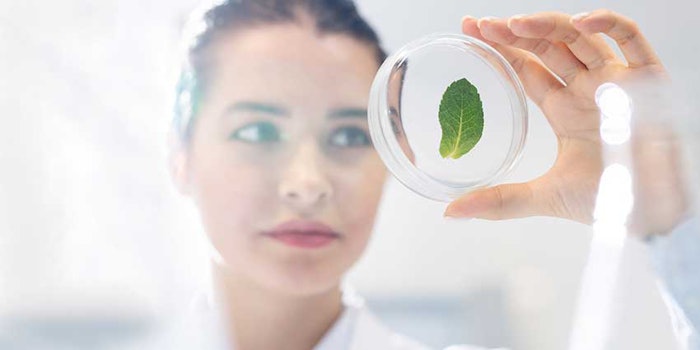 scientistleaf_425