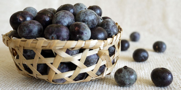 AcaiBerriesinBasket850x425