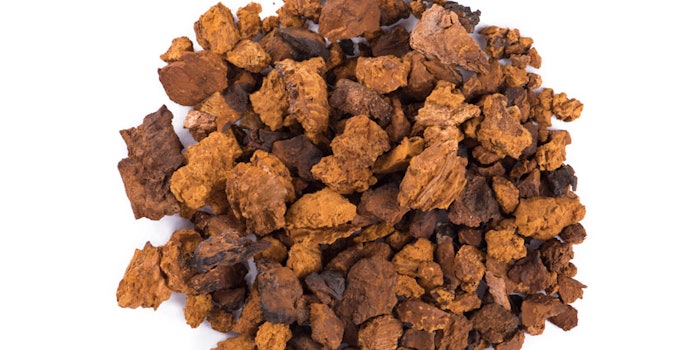 ChagaMushroomPile850x425