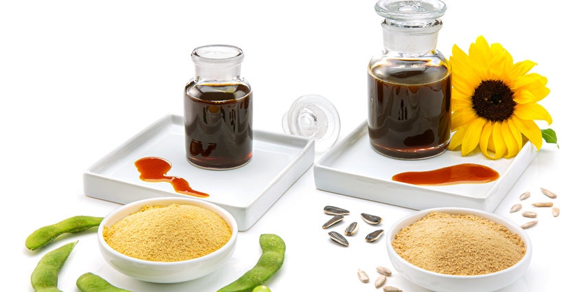 Sunflower lecithin powder supplier Sunflower lecithin powder supplier
