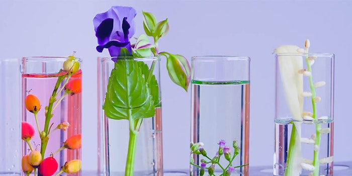 850x425_diversifying