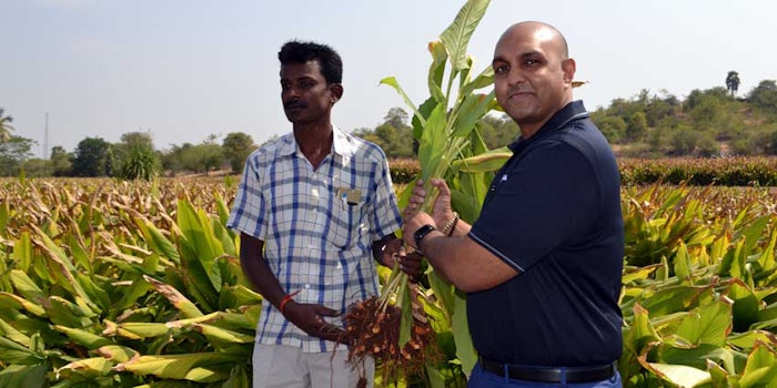Shaheen Majeed (right), Sabinsa president worldwide, uproots turmeric grown through a partnership with a local farmer. Turmeric serves as the basis for the company’s Curcumin C3 Complex--a nutritional supplement with a multitude of health benefits