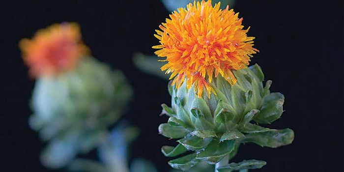 CT2003_SafflowerOil_AristaIndustries_850x425