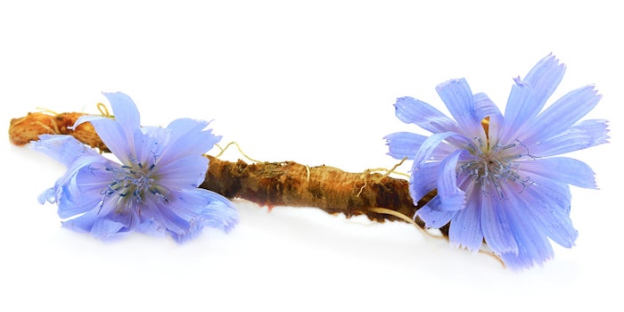 ChicoryRootandFlower850x425
