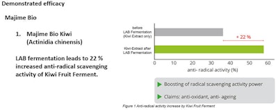 Adeka Ct2003 Image22
