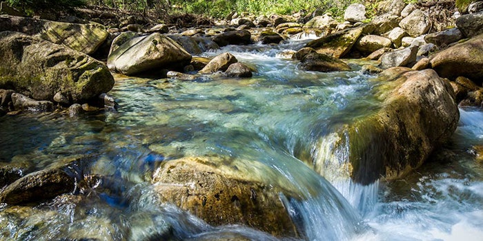 Symrise has been ranked among the highest in terms of water and forest protection, earning A ratings from CDP in both categories, as well as climate protection.