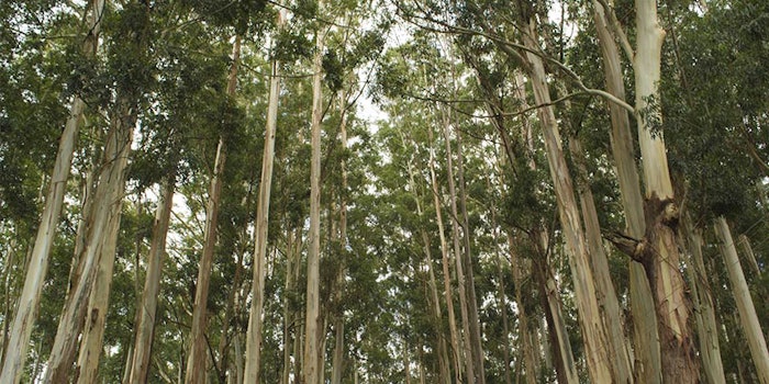 Azelis has joined Together for Sustainability in its next step toward becoming a catalyst of change when it comes to sustainable business models.