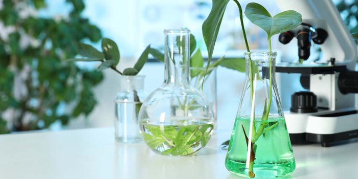 PlantsinChemistryLab850x425