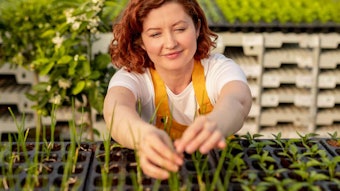 WomaninSmockGreenhouseSprouts850x425