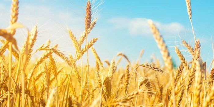 P g Biobased Acrylic Acid