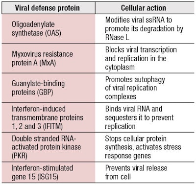 CT2007_08_Testing_Holtz_fcx_T1