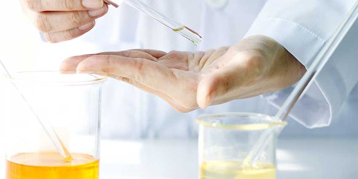 Echa Regulatory