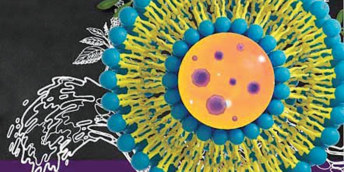 EpiFytosomes_Bio_botanica_850x425