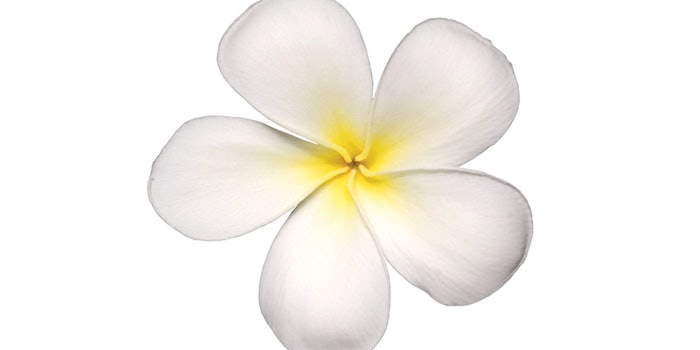 Indole_MilliporeSigma_850x425