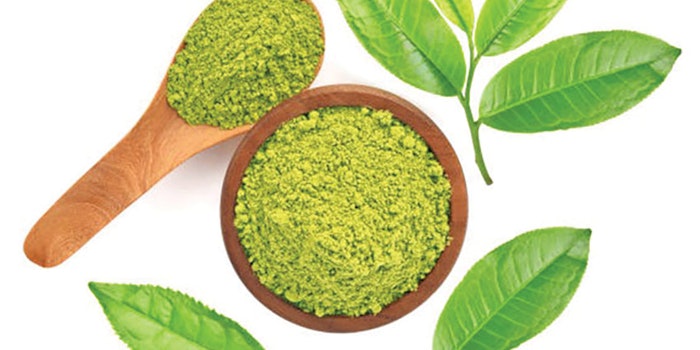 green_tea_extract_Alban_Muller_850x425