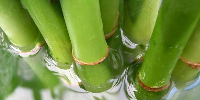 BambooinWater850x425
