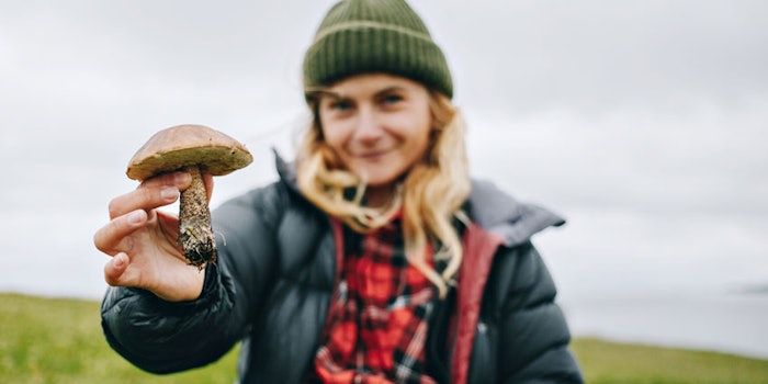 WomanOutdoorsPickingMushrooms850x425
