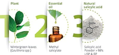 Natural process from Wintergreen leaves to natural salicylic acid powder