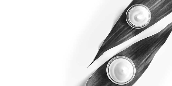 Evonik Portfolio Expansion