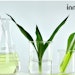 Innospec_ct2010_lead