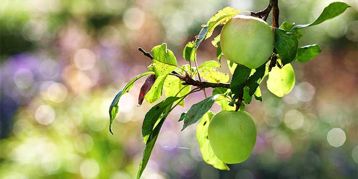 Mibelle And Imcd Collab