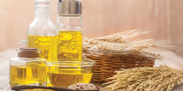 CT201112_rice_bran_oil_arista_industries_850x425