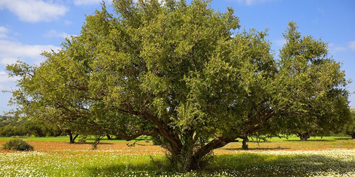 Basf Lipofructyl Argan Ecocert Award