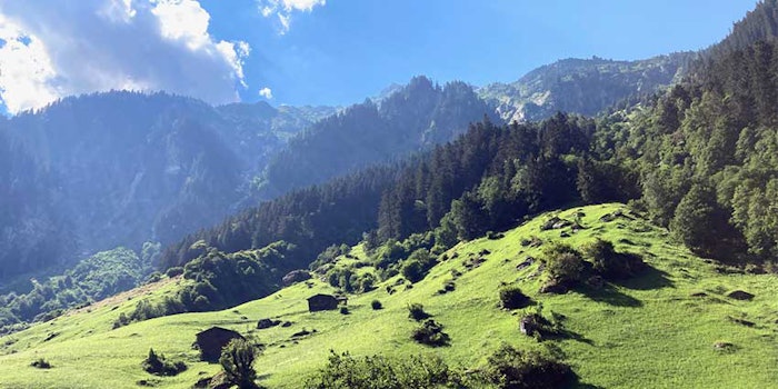Premium Organic's Alpin Heilmoor Extract is derived from natural ingredients such as moor, and provides a micronized form for personal applications.