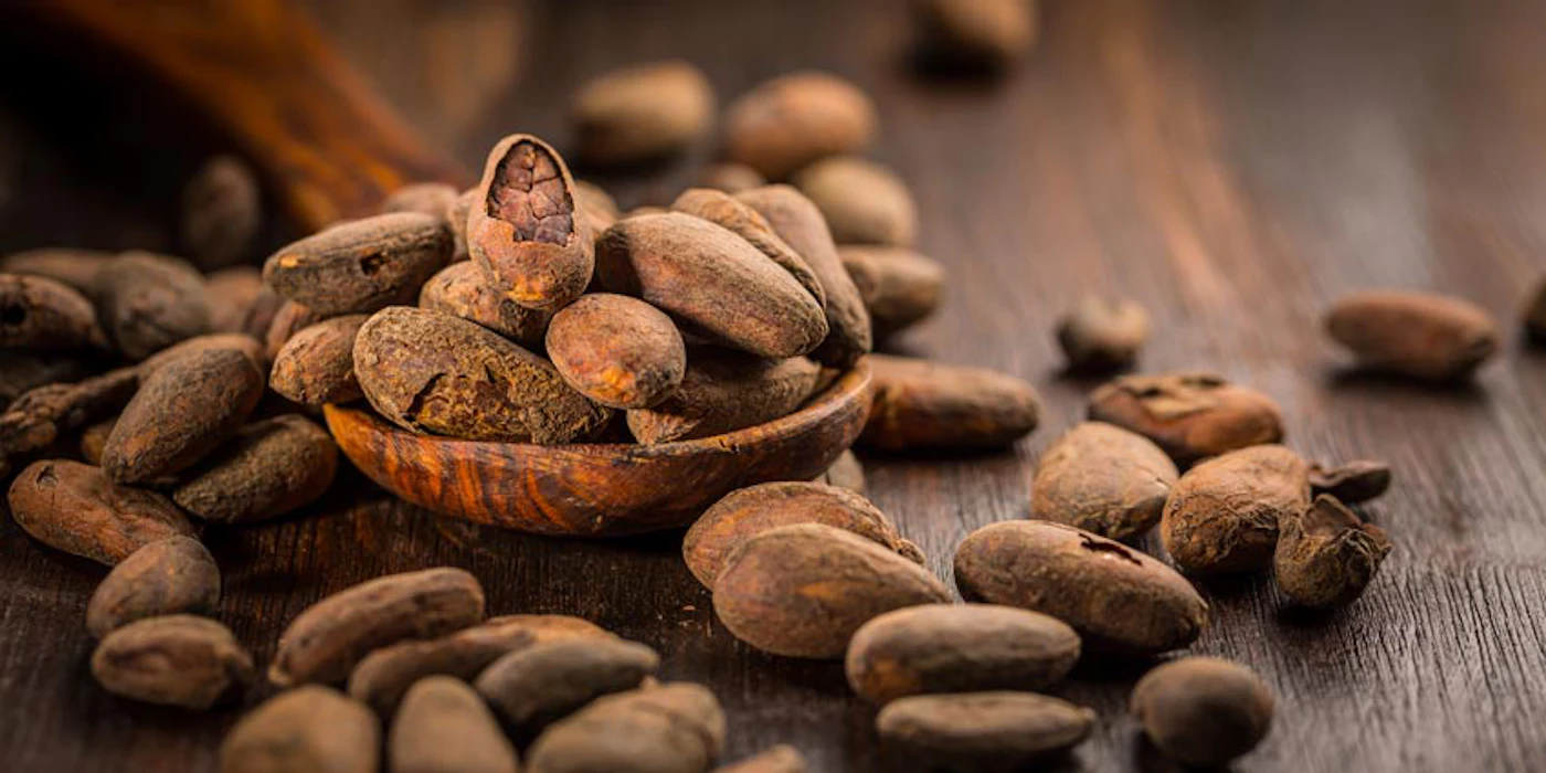 Coca Shell Automating Cocoa Shell Pectin Hydrolysis and Filtration | Cosmetics ...