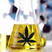Demetrix signs its first contract manufacturing organization for commercial scale production of cannabinoids.