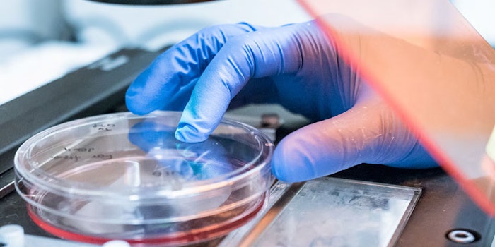 Gattefossé and BioMeca jointly developed a model of 3D dermal microtissue to study elastic properties in vitro.