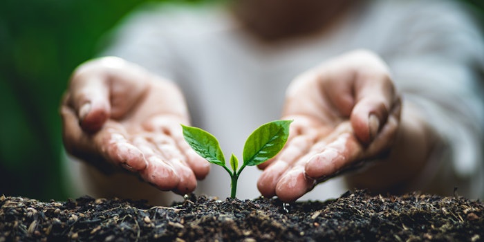 These plantings could result in up to 480,000 pounds of carbon dioxide offsets annually.