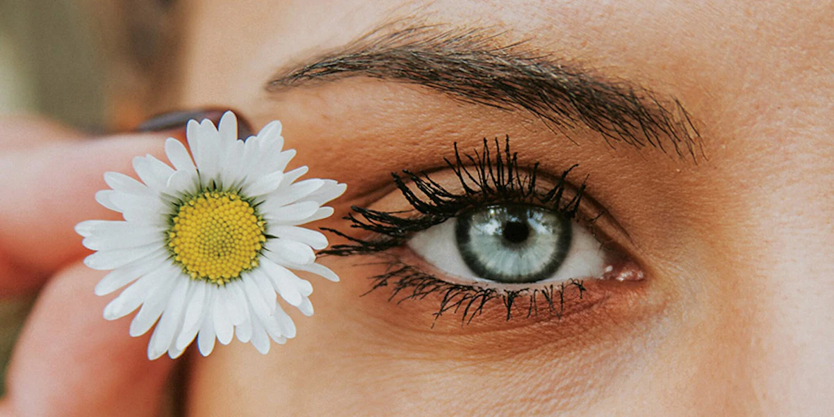 what is glutathione found in Simplify your Glutathione Measurements – Arbor Assays