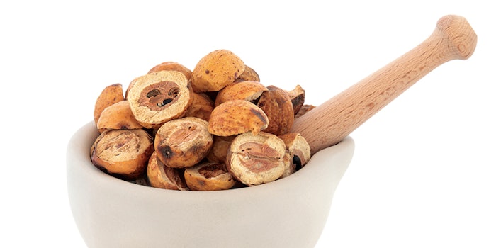 CT2106_Prod_Campo_Neem_Oil_Campo_Research_850x425