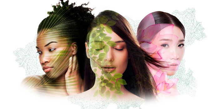 Each extract in the range is reportedly known for their aesthetic and medicinal benefits, and originate from a variety of sources including plants, flowers and fruits.