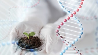 DNA testing allows companies a more secure supply of plant raw materials and can prevent health risks to the consumer.