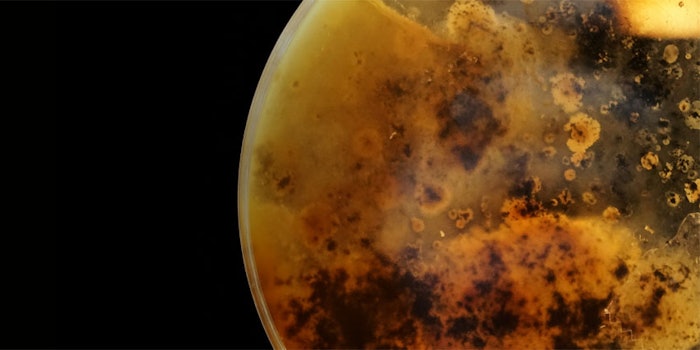 This multifunctional technology made of botanicals in a proprietary process is a microbiome-friendly preservation system that fights microbial resistance.