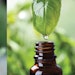 new-directionrs-aromatics-july-850