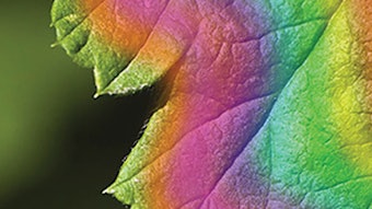 CT2109_Prod_Campo_Research_Campo_Siddha_Medico_Botanical_Extracts_850x425